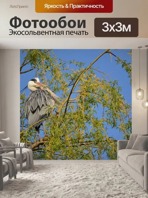 Фотообои Цапля