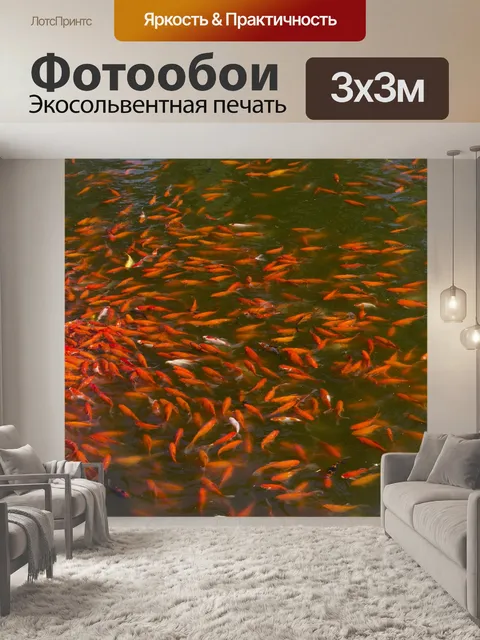 Фотообои Кои