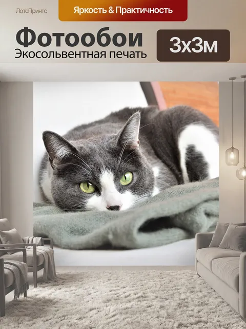 Фотообои Милый