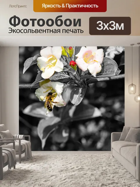 Фотообои Цветы