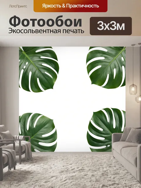 Фотообои Листья монстеры на белом фоне