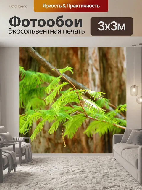 Фотообои Нежные листья