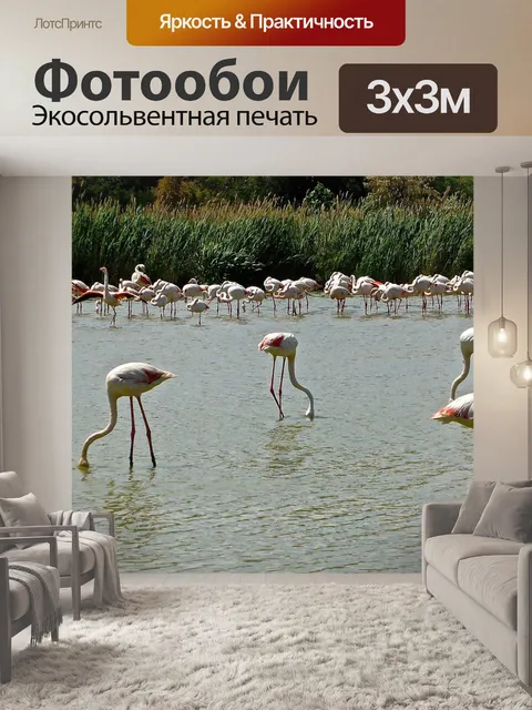 Фотообои Фламинго