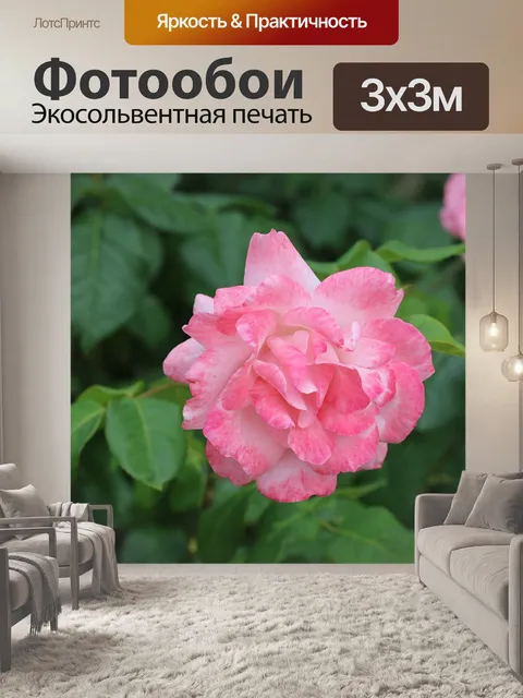 Фотообои Цветы
