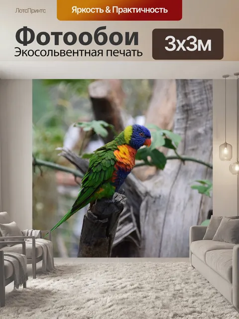Фотообои Птицы