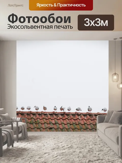 Фотообои Крыша