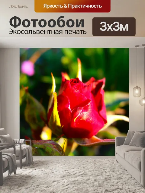 Фотообои Блестящая Rose