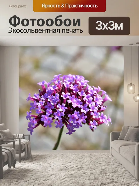 Фотообои Пляж сирень