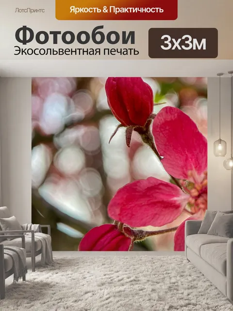 Фотообои Цветы