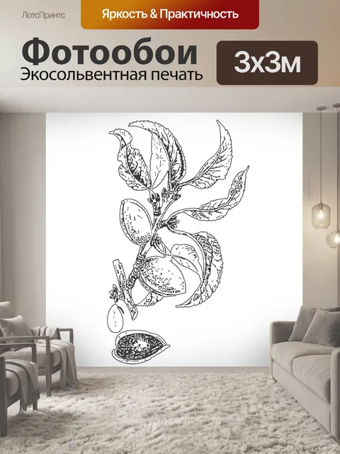 Фотообои миндаль рисунок картинки