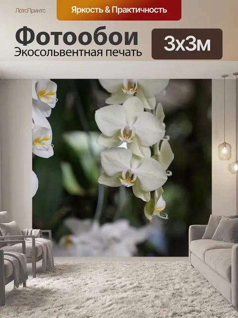Фотообои Орхидеи