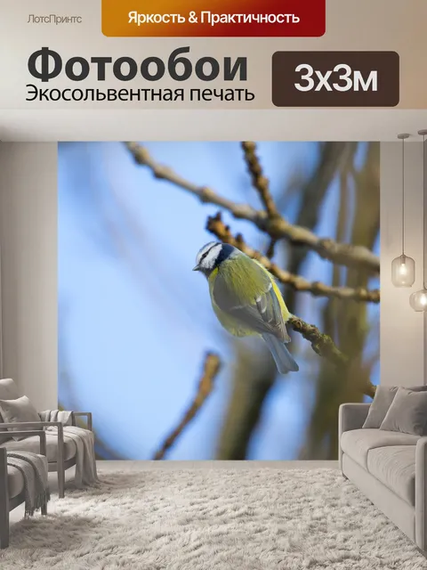 Фотообои Великая Тит