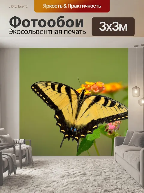 Фотообои Тигр Махаон бабочка