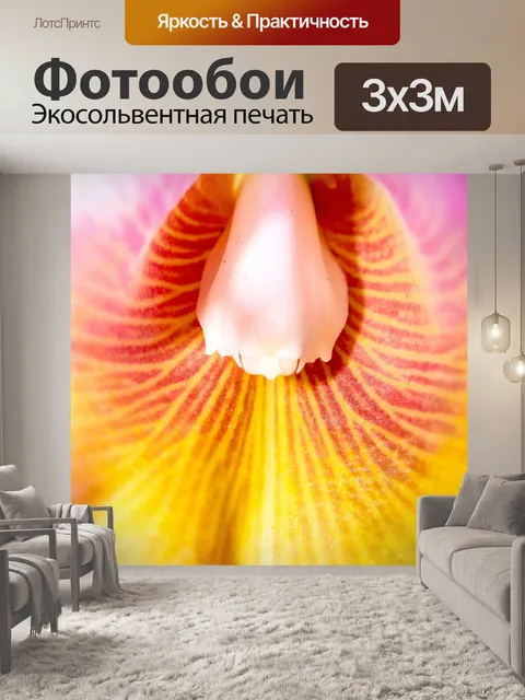 Фотообои Цветок орхидеи