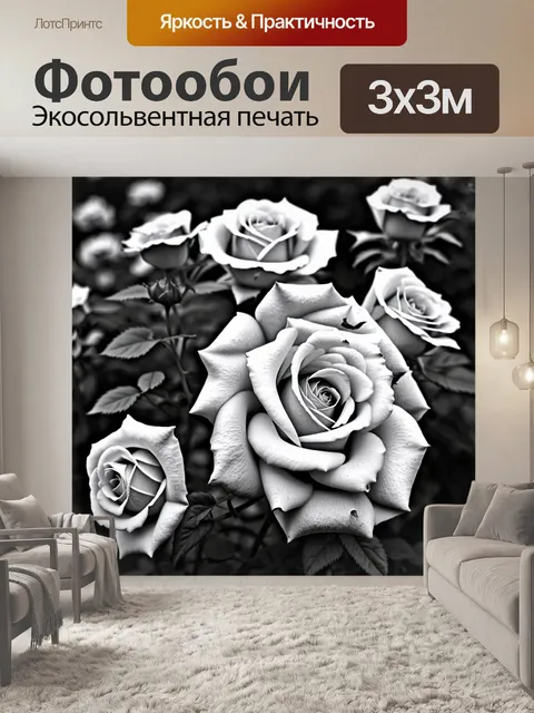 Фотообои черно-белая фотография с яркими розами на переднем плане
