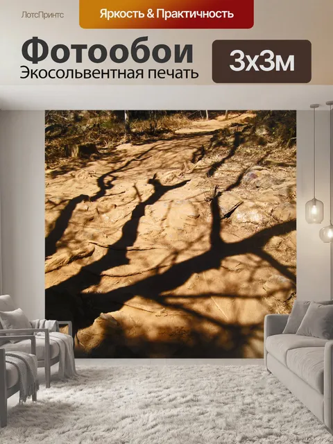 Фотообои тень большого дерева
