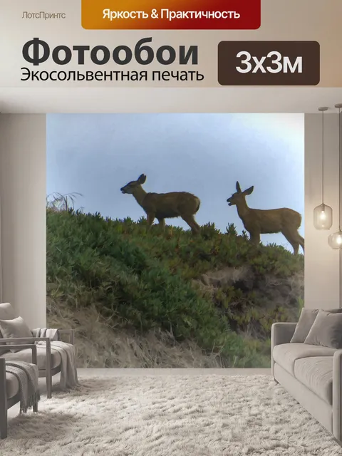 Фотообои Олень на холме