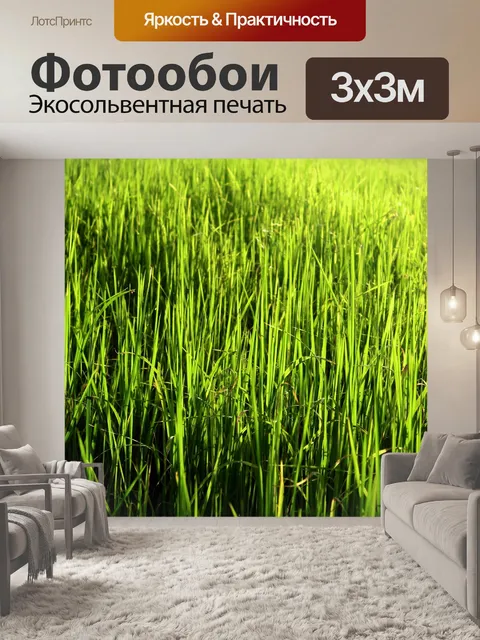 Фотообои Зеленое рисовое поле