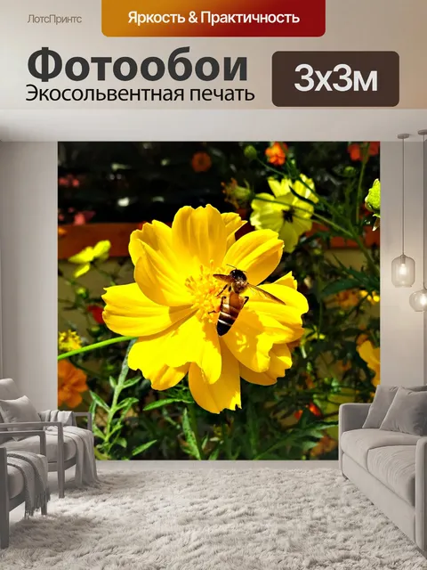 Фотообои Цветок