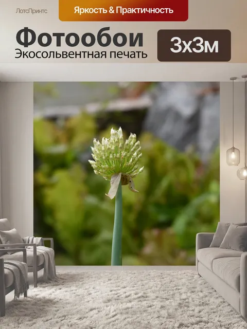 Фотообои Цветок