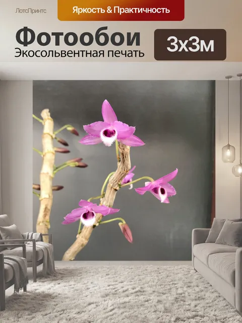 Фотообои Trầm tím