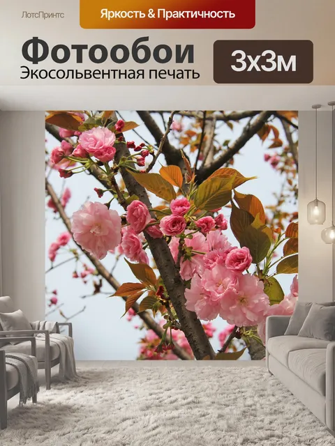 Фотообои Вишни в цвету