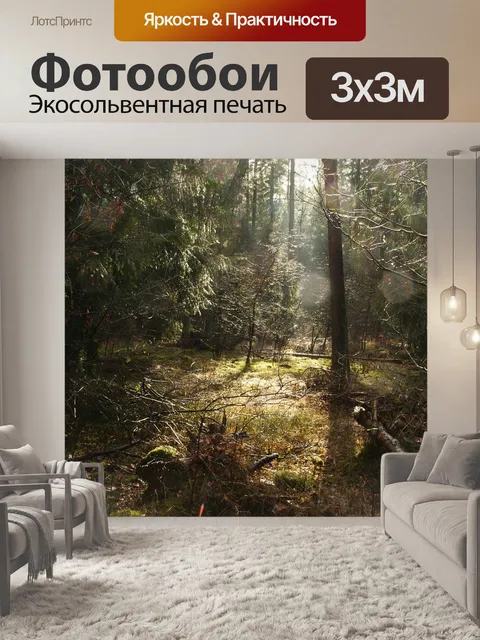 Фотообои Лес