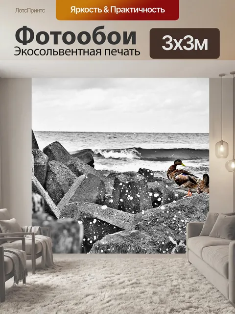 Фотообои Утки на море