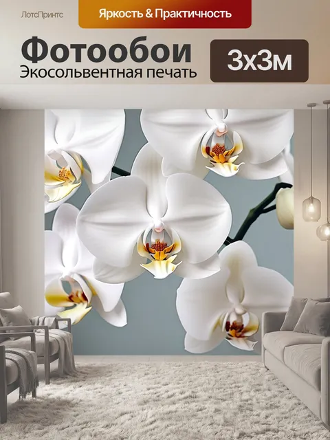 Фотообои белые