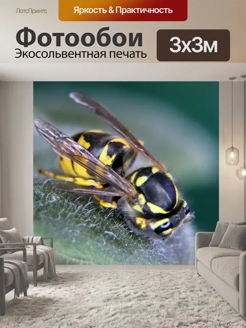 Фотообои Цветок