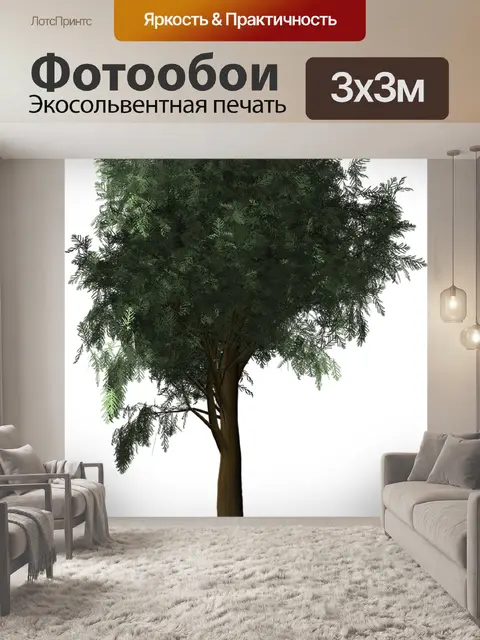 Фотообои Кипарис