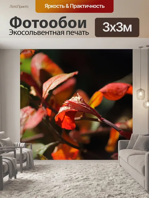 Фотообои красновато-коричневый цветной лист в сол