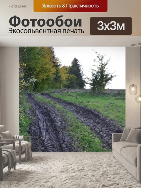 Фотообои Путь