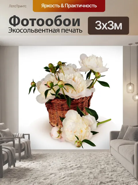 Фотообои Пионы