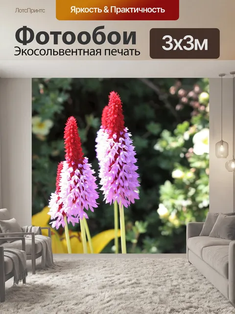 Фотообои Цветы