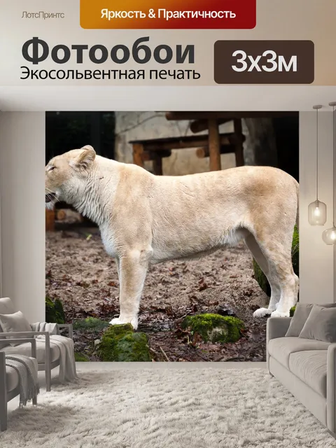 Фотообои Львица