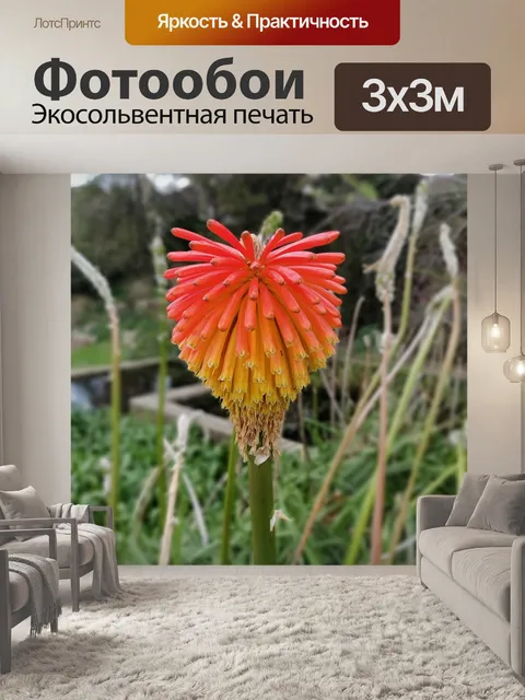 Фотообои Цветы