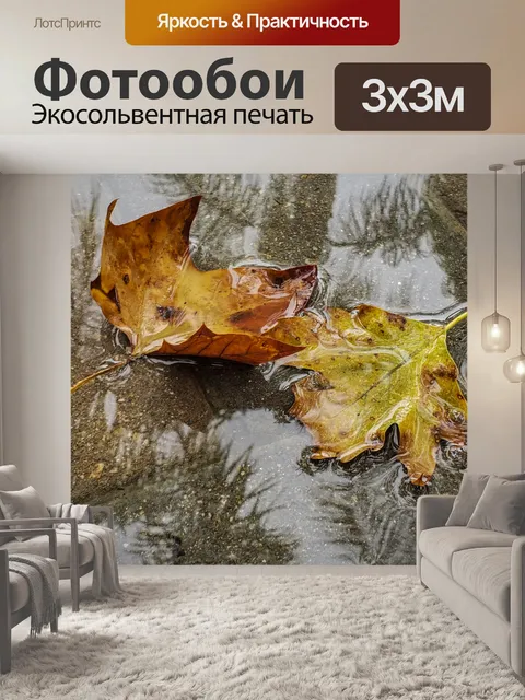 Фотообои Дождь лужа осенние листья