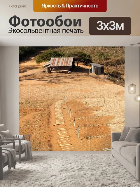 Фотообои Вид на восход солнца утром в Шри Нан