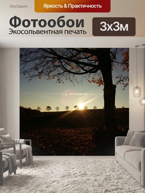 Фотообои Тихий