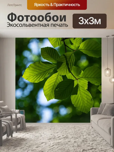 Фотообои Лес