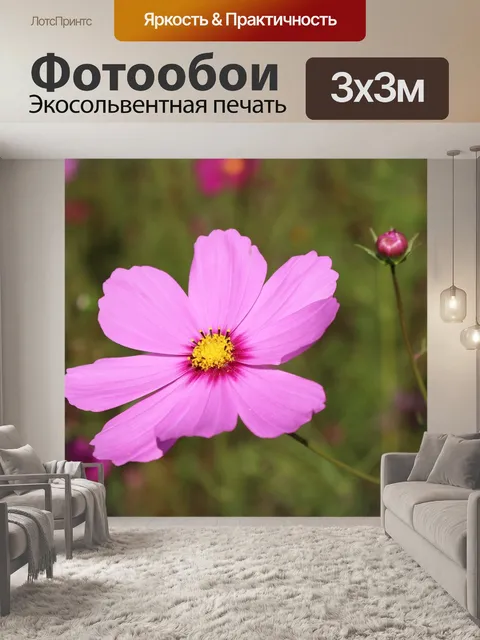 Фотообои Цветы