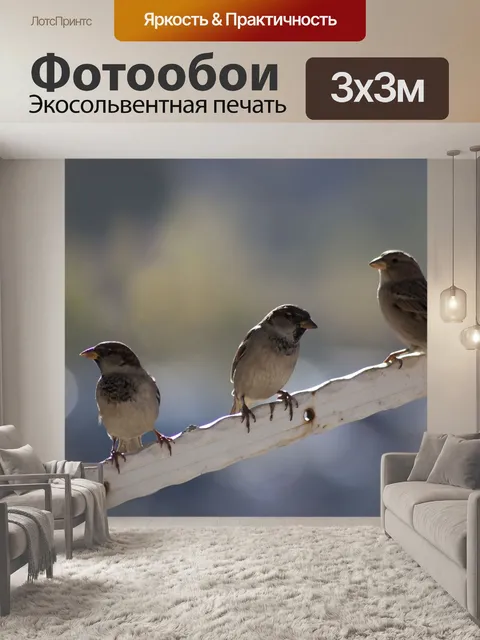 Фотообои Воробей
