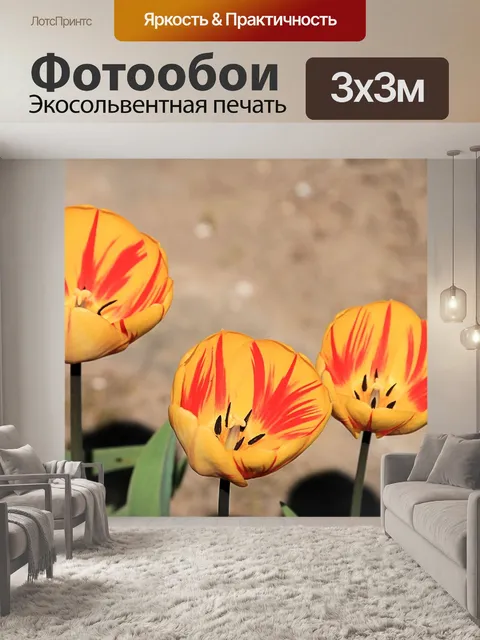 Фотообои Тюльпаны