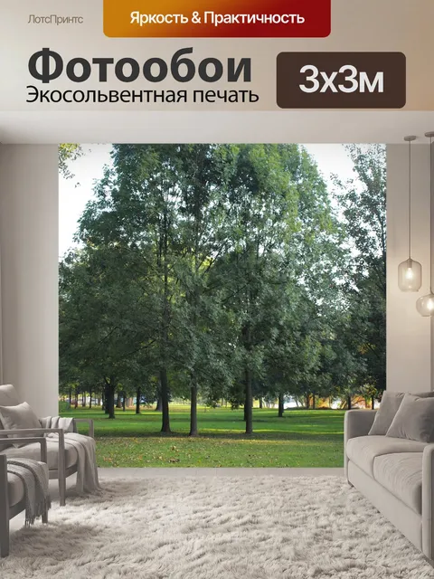 Фотообои Деревья