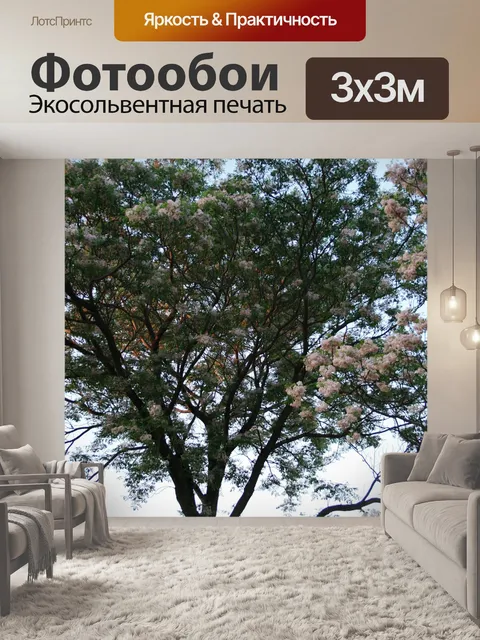 Фотообои Деревья