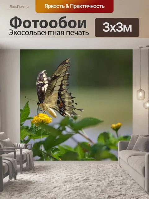 Фотообои Бабочка