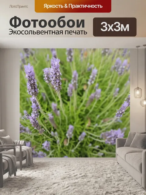 Фотообои Лаванда