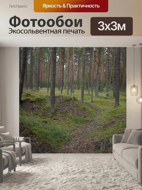 Фотообои Темный
