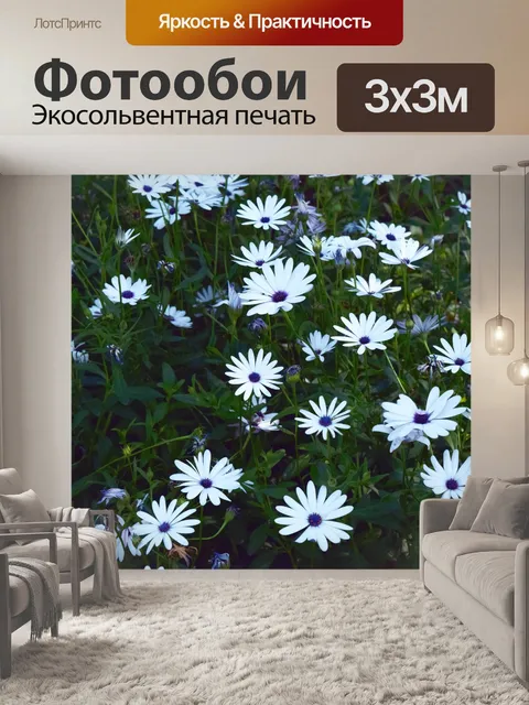 Фотообои Маленькие белые цветы 10